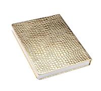 PACKOVE 120-color Gel Nail Polish Display Book with Embedded Manicure Color Cards Alligator Texture Nail Show Card and Color Analysis Random Shades for Salon Use Random Color