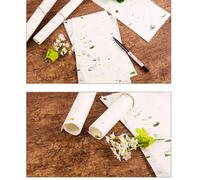 PACKOVE 40 Sheets Chinese Calligraphy Paper Rice Paper for Painting Practice with Water Imbibition and Neatly Retained Properties, for Chinese Calligraphy Writing and Japanese Or Kanji