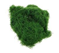 PACKOVE Artificial Silk-Like Decorative Moss 30g Pack Fake Moss for Miniature Gardens and Crafting for Indoor and Outdoor Planters DIY Floral Arrangement and Table Centerpiece