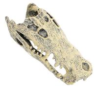 PACKOVE Dinosaur Tabletop and Beige Decor Car Delicate Resin Skull Sculpture Ornament Shaped Adornment for Office