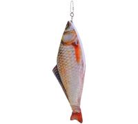 PACKOVE Fish Shaped Pencil Case Realistic Fish Pen Pouch for School Supplies Makeup Teens Boys and Girls Cute Pencil Holder