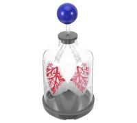 PACKOVE Human Respiratory Model Pulmonary Ventilation Teaching Aid with Diaphragm Movement Simulation, Plastic Lung Breathing Model for Classroom Science Kit and Biology Teaching