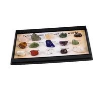 PACKOVE Natural Stone Specimen Set Crystals Gemstones for Garden Decor Amethyst Learning Stones for Science Education