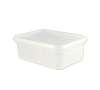 Packpack 2 Litre Recangular Ice Cream/Salad Container/Tub (20)