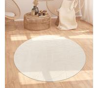 Paco Home Area Rug Living Room Shaggy Large Bedroom Rug Deep Pile Scandi Pattern Aztec Pattern Abstract Fluffy Washable Beige, Size:Ø 160 cm round