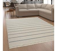Paco Home Area Rugs Livingroom Large Rug Bedroom Machine Washable Scandi Pattern Aztec Pattern, Colour:Grey, Size:80x150 cm