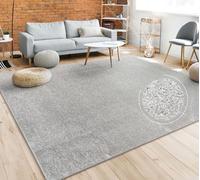Paco Home Living Room Rug Plain Simple And Modern Short-Pile, Various Sizes and colours, Size:Ø 200 cm round, Colour:Silver