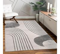 Paco Home Rug living room bedroom modern short pile glossy palm pattern floral design geometric high-low effect 3D, Size:200x290 cm, Colour:Grey 4