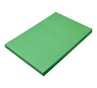 Pacon SunWorks Construction Paper, 12-Inches by 18-Inches, 100-Count, Holiday Green (8008)