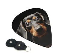 Pad Dachshund 6 Pack Guitar Picks With Holder, Personalized Guitar Plectrums Non-Slip Portable Ukulele Bass Picks 0.96mm For Acoustic Guitar Lovers Gifts