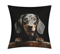 Pad Dachshund Pillow Covers with Zipper for Sofa, Soft Plush Pillowcase for Living Room, Cozy Fluffy Cushion Covers for Bedroom, Breathable Throw Pillow Cover for Hotel, 18 in