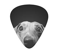 Pad Dachshund Printed Guitar Picks Personalized Guitar Plectrums 12 Pcs For Acoustic Guitar Electric Guitar And Bass Bulk Guitar Pick One Size