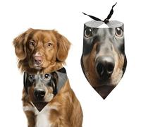 Pad Dachshund Printed Pet Scarf Polyester Triangle Scarf - One Size (27.6in X 11.8in)