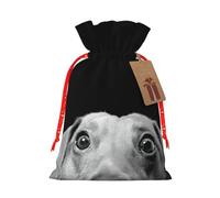 Pad Dachshund Printing 4.7x6.9 Inch Christmas Bag Drawstring Closure,For Christmas Anniversaries Birthdays