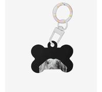 Pad Dachshund Printing Cute Acrylic Dogs Tag Double Side Bone Shap Id Tags with Keychain for Pet Crafts Decorations