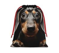 Pad Dachshund Super Soft Velvet Gift Bag with Drawstring Pouch, Full Printed Holiday Storage Bag for Christmas & Daily Storage