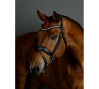 Padded dressage bridle Collegiate Comfitec Opulux