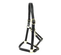 Padded leather bridle for horses KM Elite Luxury version
