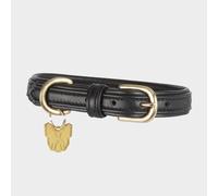 Padded Leather Dog Collar, Black XL