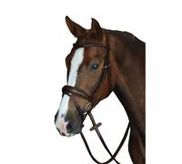 Padded riding bridles Weatherbeeta Collegiate Mono Crown