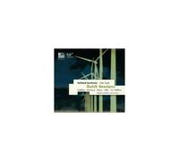 PADDING/HAMBURG/HOLLAND SYMFONIA: DUTCH SESSIONS - CD