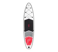 Paddle set Pure4Fun Basic SUP 320 Gris TU