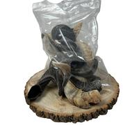 Paddock Farm Lamb Horn for Dogs - Box of 10