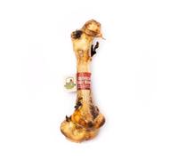 Paddock Farm Ostrich Dino Bone For Dogs - Natural Dog Bones