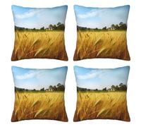 Paddy Rice Field Throw Pillow Cases 4 Pack Square Pillowcases Super Soft Pillow Protectors With Zipper for Couch Livingroom Sofa Bed Office Car,30x30 CM