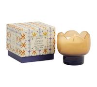 Paddywax Candles Paddywax Tulip Range Glass Candle - 5.5oz - Green - Garden & Grove