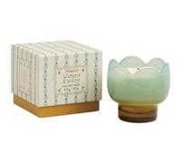 Paddywax Candles Paddywax Tulip Range Glass Candle - 5.5oz - Green - Wisteria & Willow