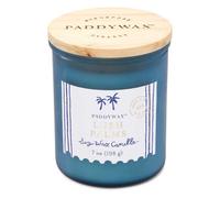 Paddywax | Coastal Glass Candle | Lush Palms | Beach-Inspired Candle 7oz