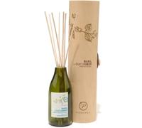 Paddywax Reed Diffuser Set Eco Green Fragrance Diffusers For Home, 118ml, Basil & Cucumber