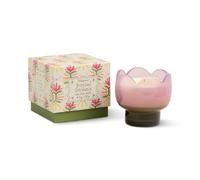 Paddywax Tulip Range Glass Candle - Bronzed Gardenia Scent