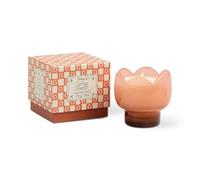 Paddywax Tulip Range Glass Candle - Cactus Flower