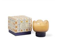 Paddywax Tulip Range Glass Candle - Garden & Grove
