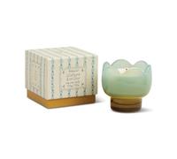 Paddywax Tulip Range Glass Candle - Wisteria & Willow Scent