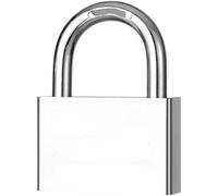 Padlock 1PC 30/40/50/60MM Imitation Stainless Steel Key Lock Security Padlock(Single 30MM 4Keys)