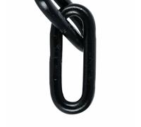 Oxford Beast, lock chain 1 9 m
