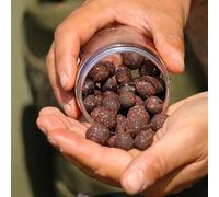 Paella Boosted Cured Hookbaits - Exploding Soluble Crust with Hardened Inner Boilie - 15mm & 18mm Mixed Sizes in One Pot - Natural Meat & Shellfish Blend - Powerful Water-Soluble Aroma