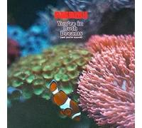 PAERISH You're in Both Dreams (And You're Scared) (Vinyl) 12" Album