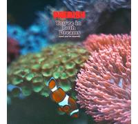 PAERISH You're in Both Dreams (And You're Scared) (Vinyl) 12" Album