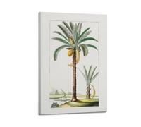 PAEVDIN Hand Drawn Palm Tree Plant Decoration Poster Poster Decorative Painting Canvas Wall Posters And Art Picture Print Modern Family Bedroom Decor Posters 24x36inch(60x90cm)
