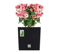 PAFEN RATTO Rattan Look Low Plastic Flower Pot, Garden Planter with Insert Plant Pot Anthracite 32.5 x 32.5 cm