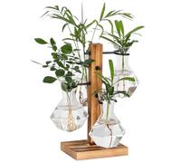 PAG-Mass Plant Terrariums Kit Desktop Hydroponics Air Planter Holder with 4 Diamond Glass Vase,Propagation Stations Terrarium For Water Plants Home Garden Office Decoration Accessories
