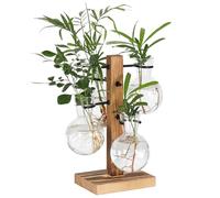PAG-Mass Plant Terrariums Kit Desktop Hydroponics Air Planter Holder with 4 Light Bulbs Glass Vase,Propagation Stations Terrarium For Water Plants Home Garden Office Decoration Accessories