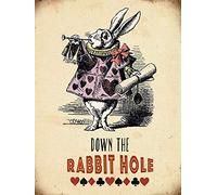 PAGAIXI Metal Signs Vintage Alice in Wonderland - Rabbit Hole Tin Sign 8 x 12 Wall Decor Unique Plaques Poster for Home Cafe Bar