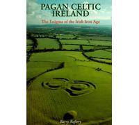Pagan Celtic Ireland: The Enigma of the Irish Iron Age
