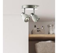 Pagazzi Lighting Pagazzi Felix 2 Spotlight Ceiling Light White