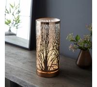 Pagazzi Lighting Pagazzi Mason Copper Touch Table Lamp